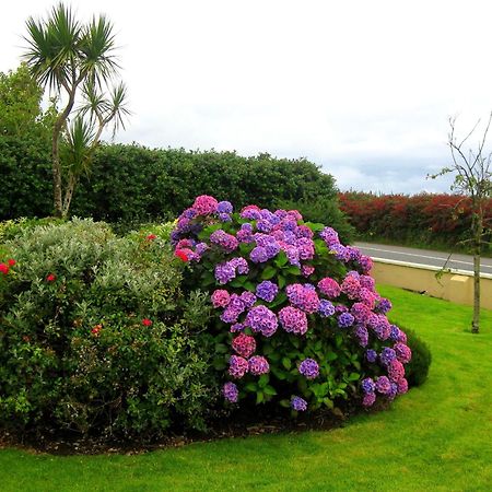 Cill Bhreac House B&B Dingle Esterno foto