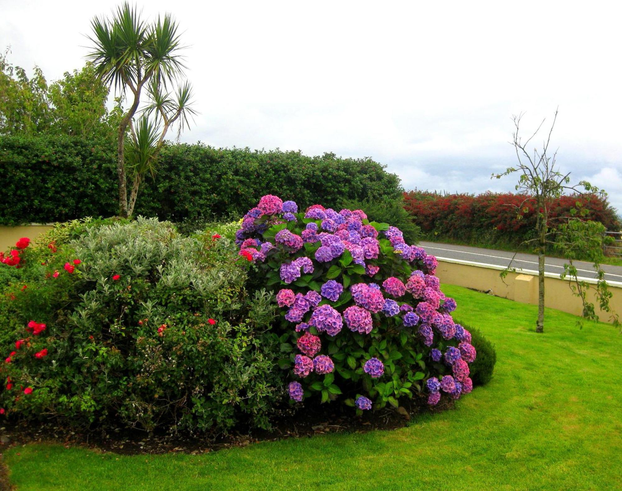 Cill Bhreac House B&B Dingle Esterno foto