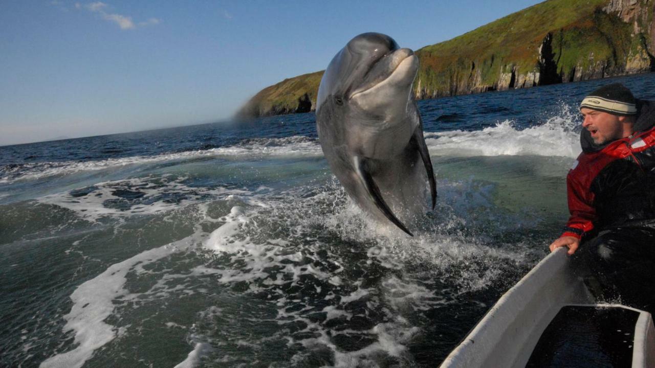 Cill Bhreac House B&B Dingle Esterno foto